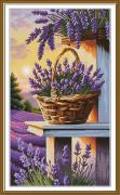 Sueño de lavanda