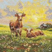 In the Meadow