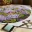 Lilac Garden