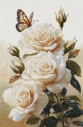 The Scent of Roses