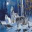 The Howl of Wolves and the Winter Moon - Medio Punto