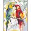 Charla de loros