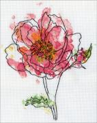 Pink Floral