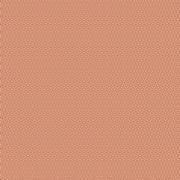Poppy Seed Terracotta