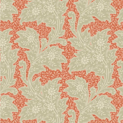Blender - Stella Coral