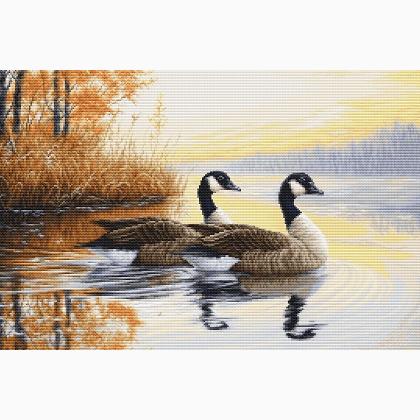 Autumn Reflections - Medio Punto