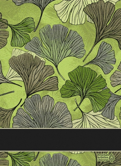 Trapo de cocina - Biloba - Arcoiris Verde
