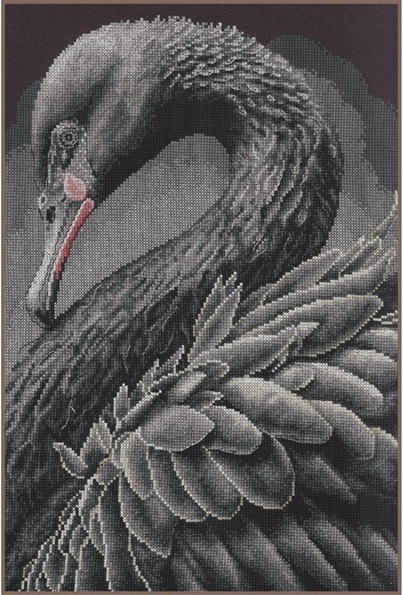 Cisne negro