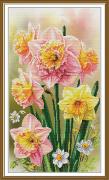 Narcisos soleados