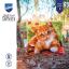 Cojín - Gatito dulce