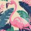 Flamand tropical