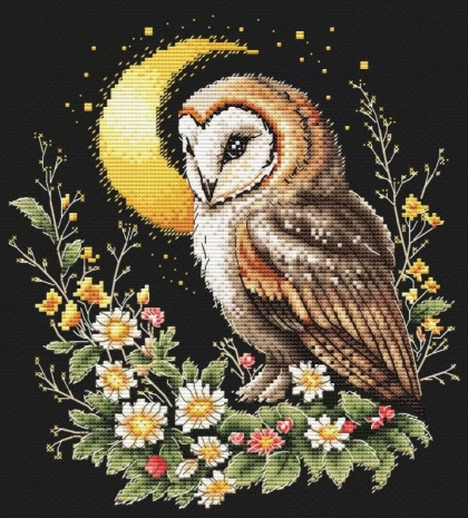 In the Moonlight