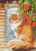The Rufous Master
