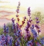 Lavanda en flor