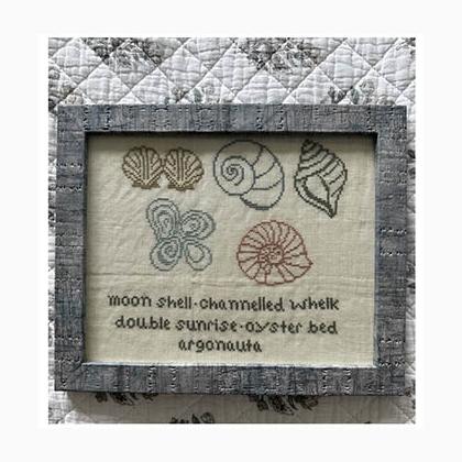 Sampler Of Shells