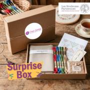 Surprise Box Brodeuses Parisiennes - Lino