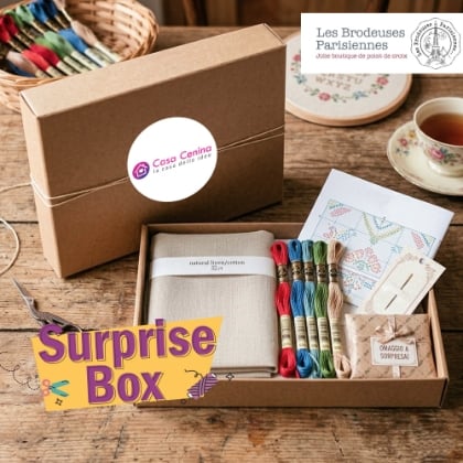Surprise Box Brodeuses Parisiennes - Lino