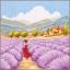Paisaje de lavanda en Provenza
