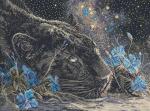 Sueños estrellados