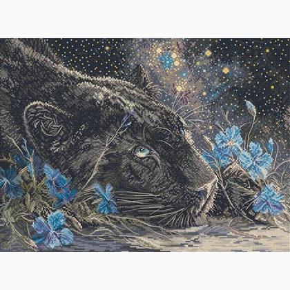 Sueños estrellados