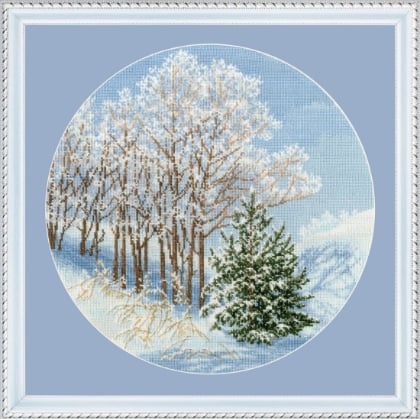 Snow-Silvered Branches