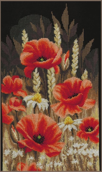 Amapolas silvestres