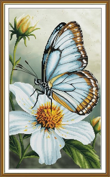 Mariposa
