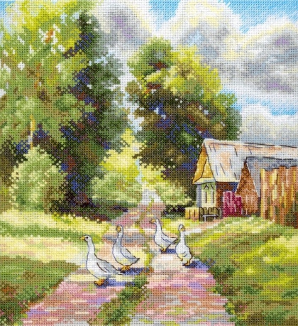 En una carretera rural