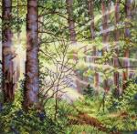 Bosque soleado