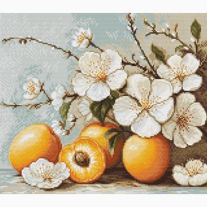 Flor de albaricoque