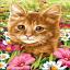 Le champ du chat