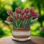 Tulipanes