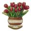 Tulipanes