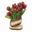 Tulipanes