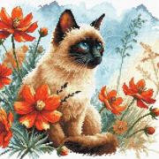El jardín del gato