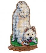 Shiba Inu