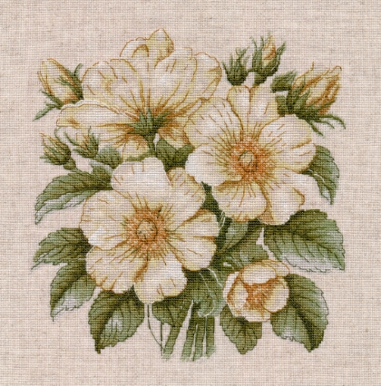 Escaramujo