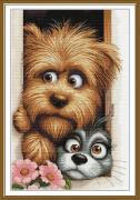 Pareja curiosa