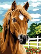 Caballo