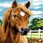 Caballo