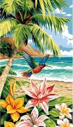 Isla Colibrí