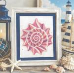 Conch Shell