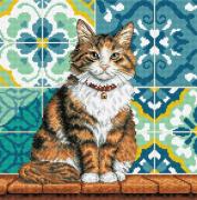 Gato en el patio