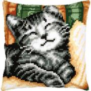 Cojín - Gato con un libro