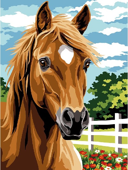 Caballo