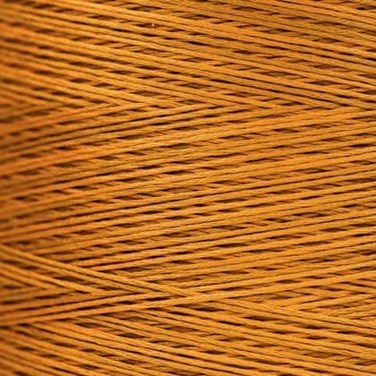WDW 1227a Turmeric