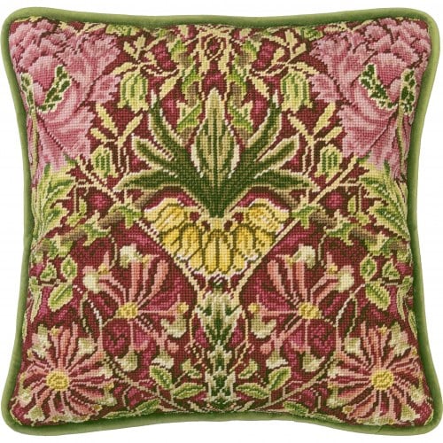Honeysuckle And Tulip