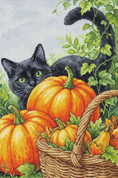 Encanto de octubre