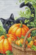 Encanto de octubre