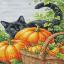 Encanto de octubre